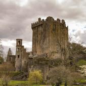 Irland_BlarneyCastle_008