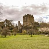 Irland_BlarneyCastle_010