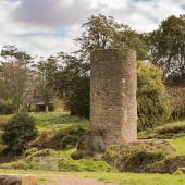 Irland_BlarneyCastle_011