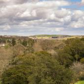 Irland_BlarneyCastle_022