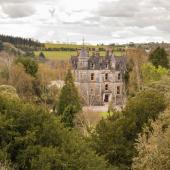 Irland_BlarneyCastle_026