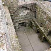 Irland_BlarneyCastle_028