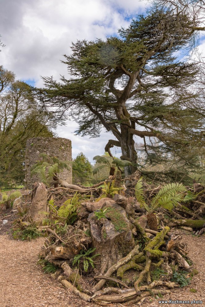 Irland_BlarneyCastle_055