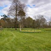 Irland_BlarneyCastle_058