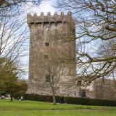 Irland_BlarneyCastle_059