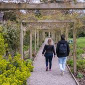 Irland_BlarneyCastle_060