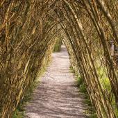 Irland_BlarneyCastle_067