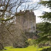 Irland_BlarneyCastle_075