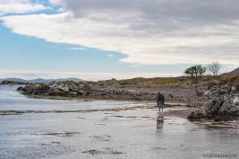 Castlecove-Atlantik-Kueste