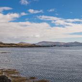 Irland_Castlecove_013