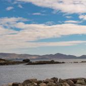 Irland_Castlecove_018