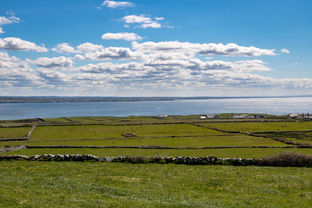 Irland_CliffsMoher_004