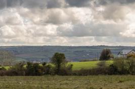 Cork-Hollyhill