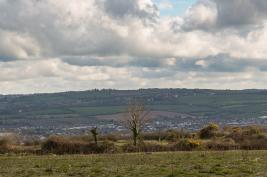 Cork-Hollyhill