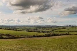 Cork-Hollyhill