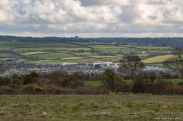 Cork-Hollyhill