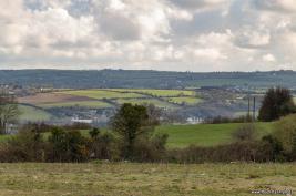 Cork-Hollyhill