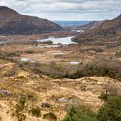 Irland_Killarney_LadiesView_005