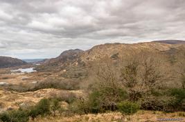 Killarney-Ladies-View