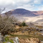 Irland_Killarney_LadiesView_016