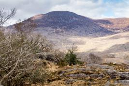 Irland 03.04.2016 - 30.04.2016