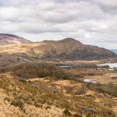 Irland_Killarney_LadiesView_017