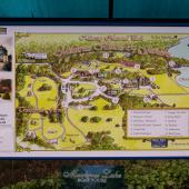 Irland_Killarney_Nationalpark_001