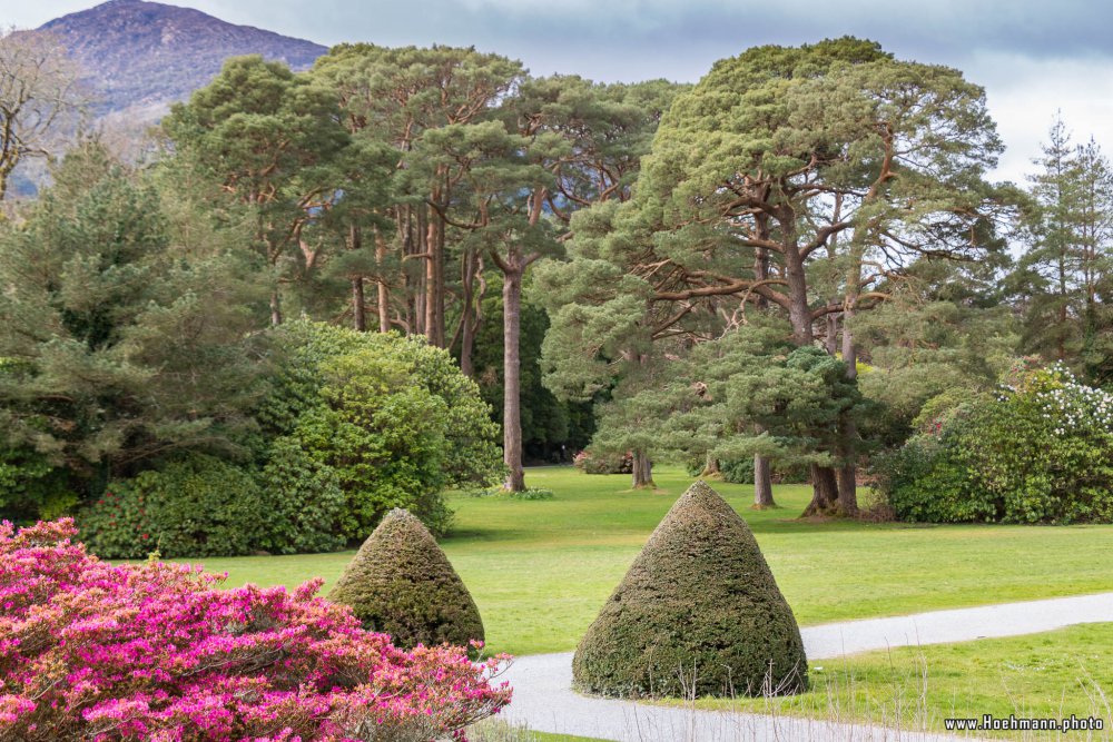 Irland_Killarney_Nationalpark_002