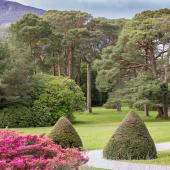 Irland_Killarney_Nationalpark_002