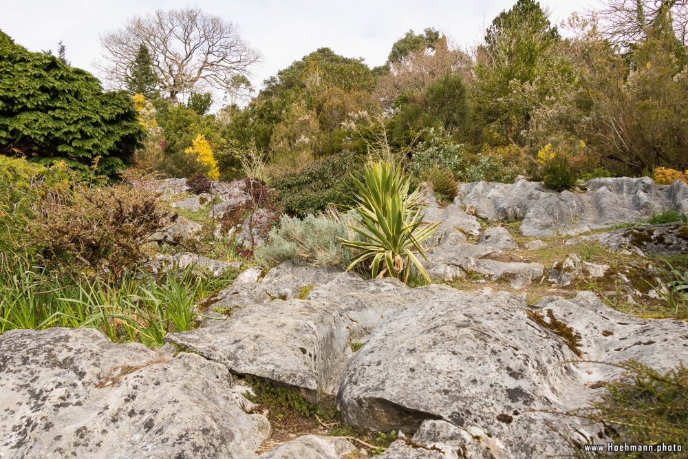 Irland_Killarney_Nationalpark_003