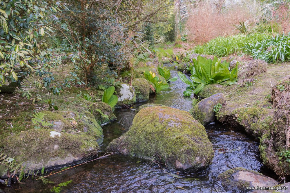 Irland_Killarney_Nationalpark_010