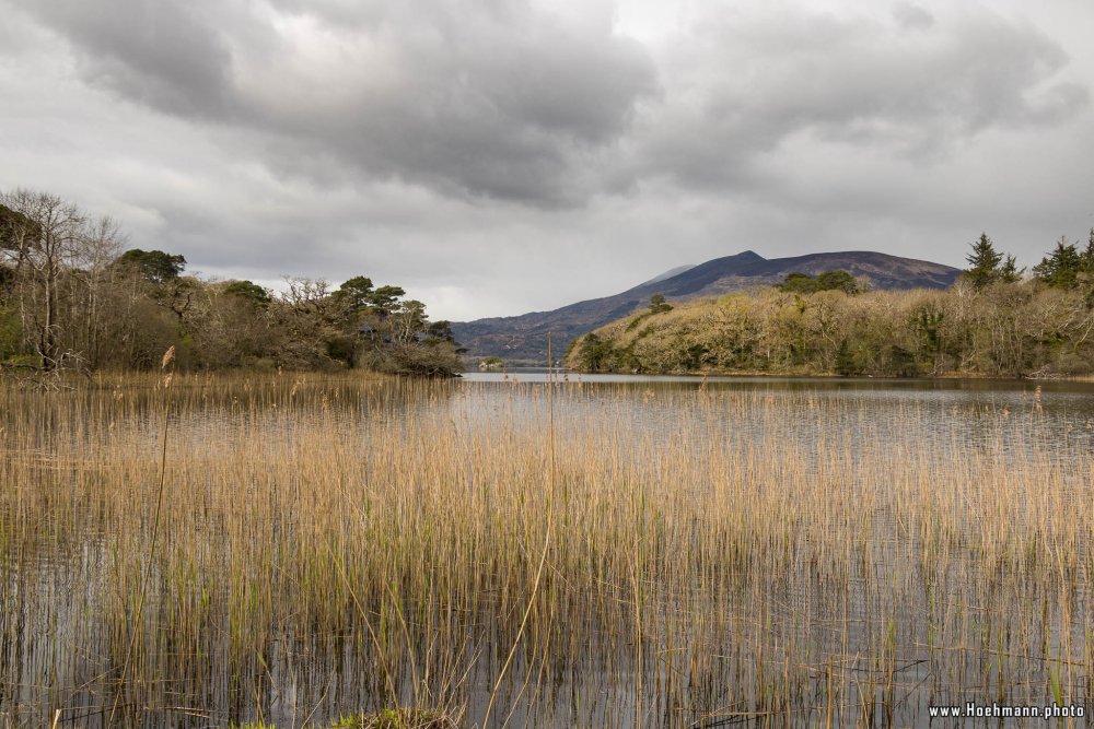 Irland_Killarney_Nationalpark_011