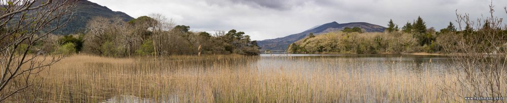 Irland_Killarney_Nationalpark_012