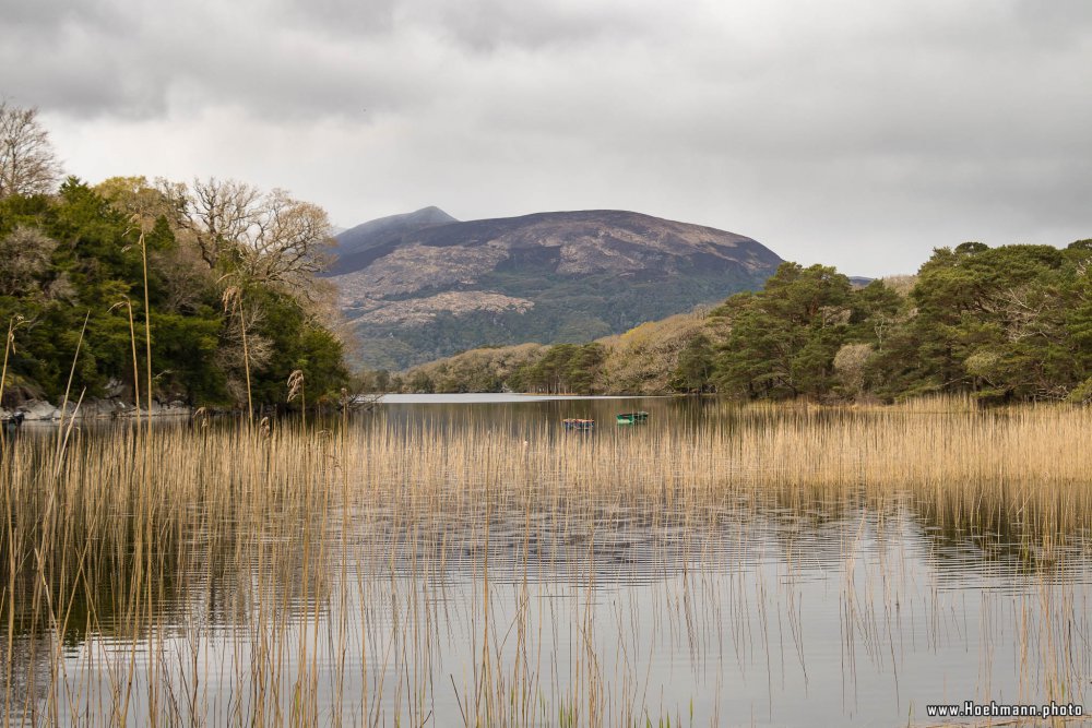 Irland_Killarney_Nationalpark_016