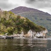 Irland_Killarney_Nationalpark_023