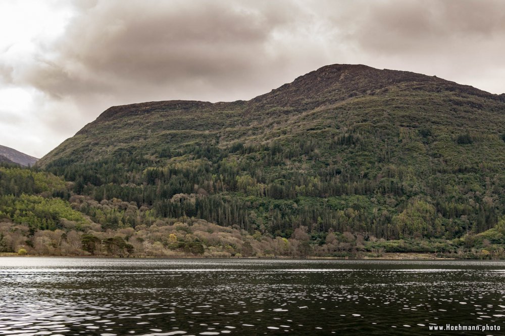 Irland_Killarney_Nationalpark_024