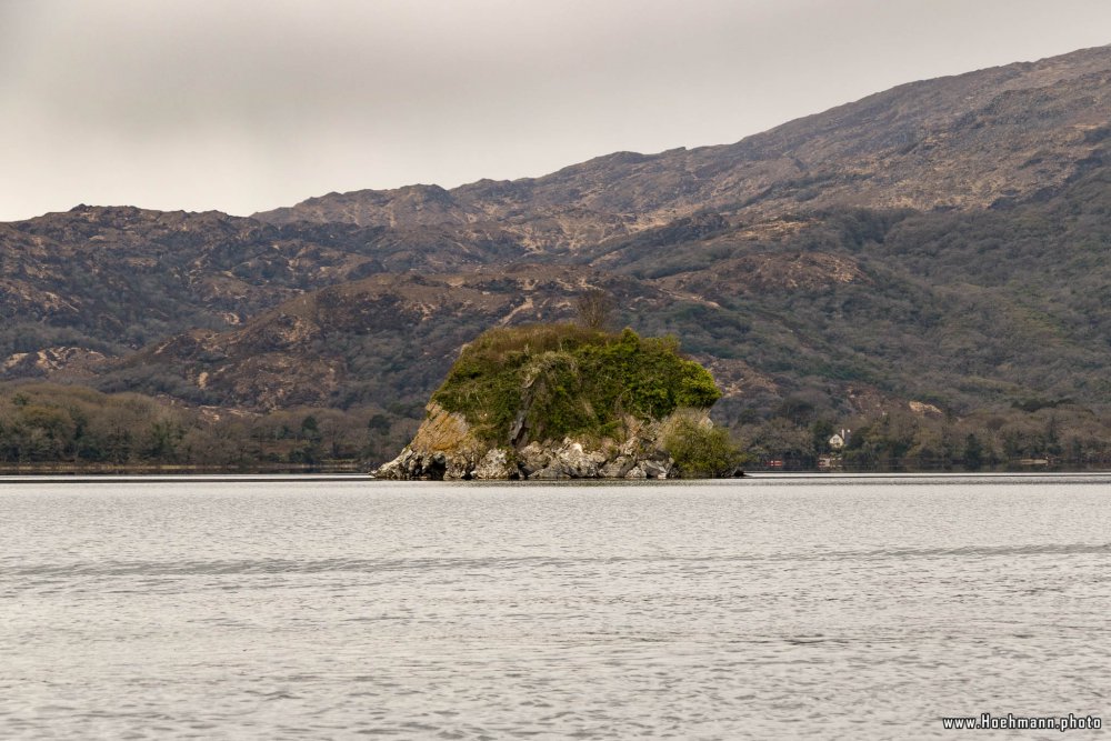 Irland_Killarney_Nationalpark_028