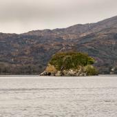 Irland_Killarney_Nationalpark_028