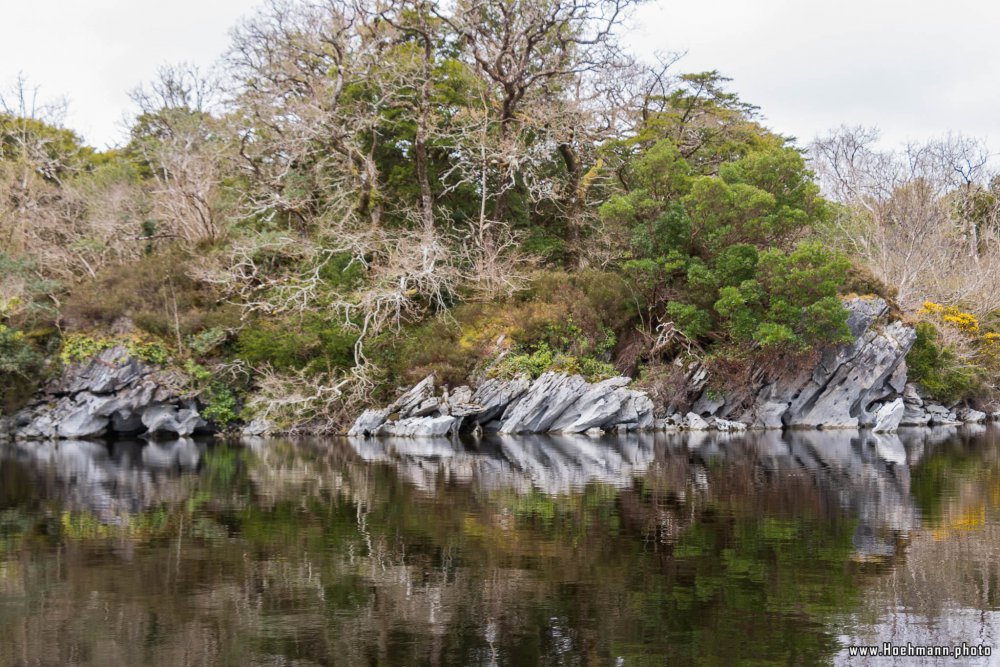 Irland_Killarney_Nationalpark_033