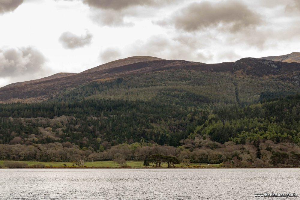 Irland_Killarney_Nationalpark_034