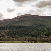 Irland_Killarney_Nationalpark_034