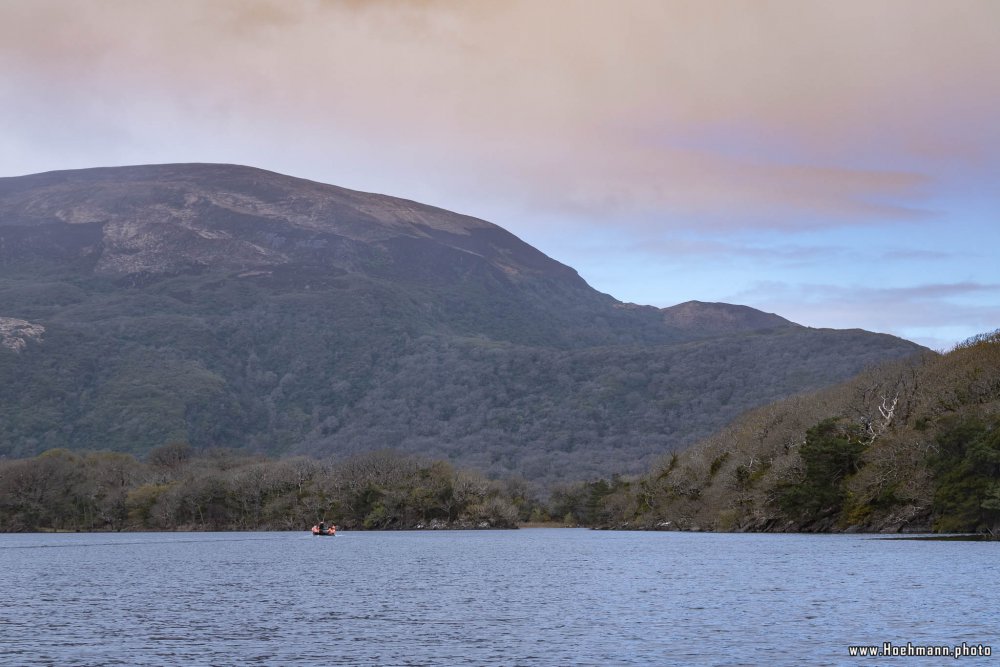 Irland_Killarney_Nationalpark_037