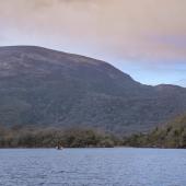 Irland_Killarney_Nationalpark_037