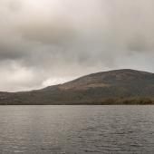 Irland_Killarney_Nationalpark_038