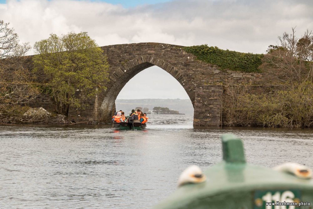 Irland_Killarney_Nationalpark_042