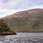 Irland_Killarney_Nationalpark_046