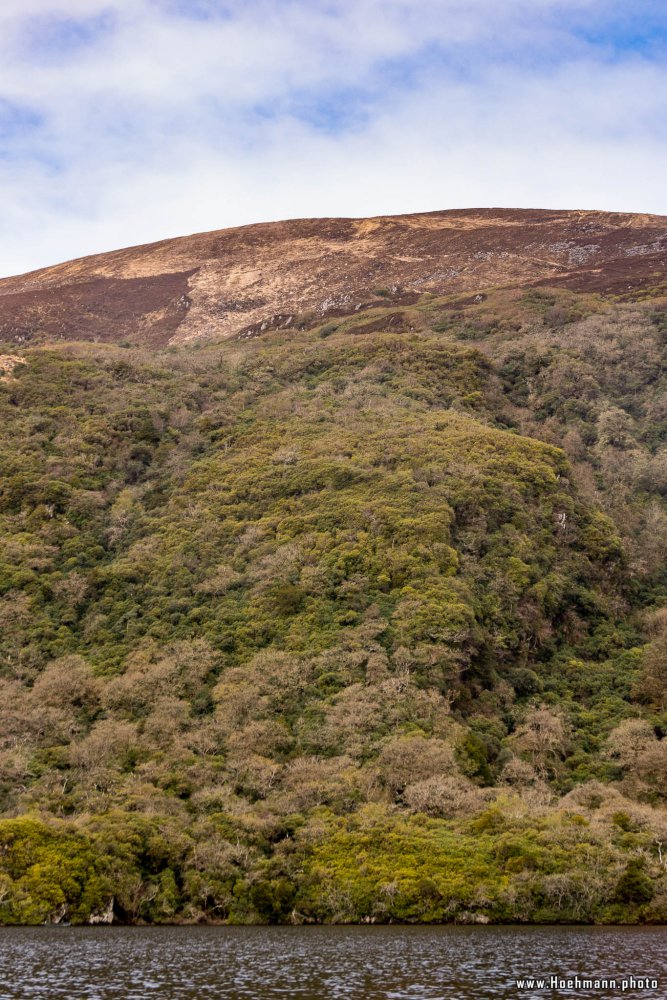 Irland_Killarney_Nationalpark_048