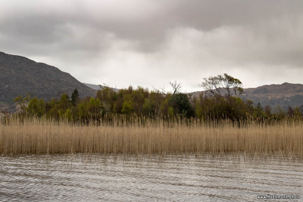 Irland_Killarney_Nationalpark_050