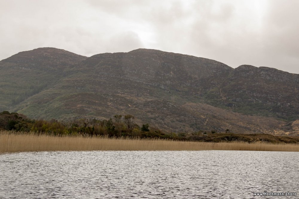 Irland_Killarney_Nationalpark_051