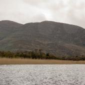 Irland_Killarney_Nationalpark_051